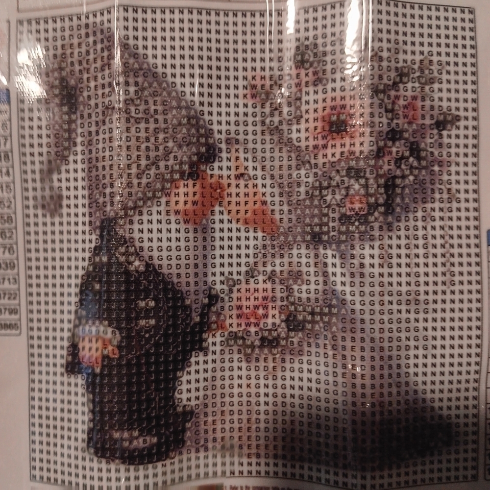 DIY Diamond Painting Kit with Wedding Gnomes Floral Design 20x20 - Picture 2 of 5